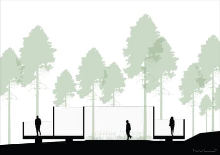 Secret Forest Tree Pavilion